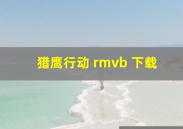 猎鹰行动 rmvb 下载